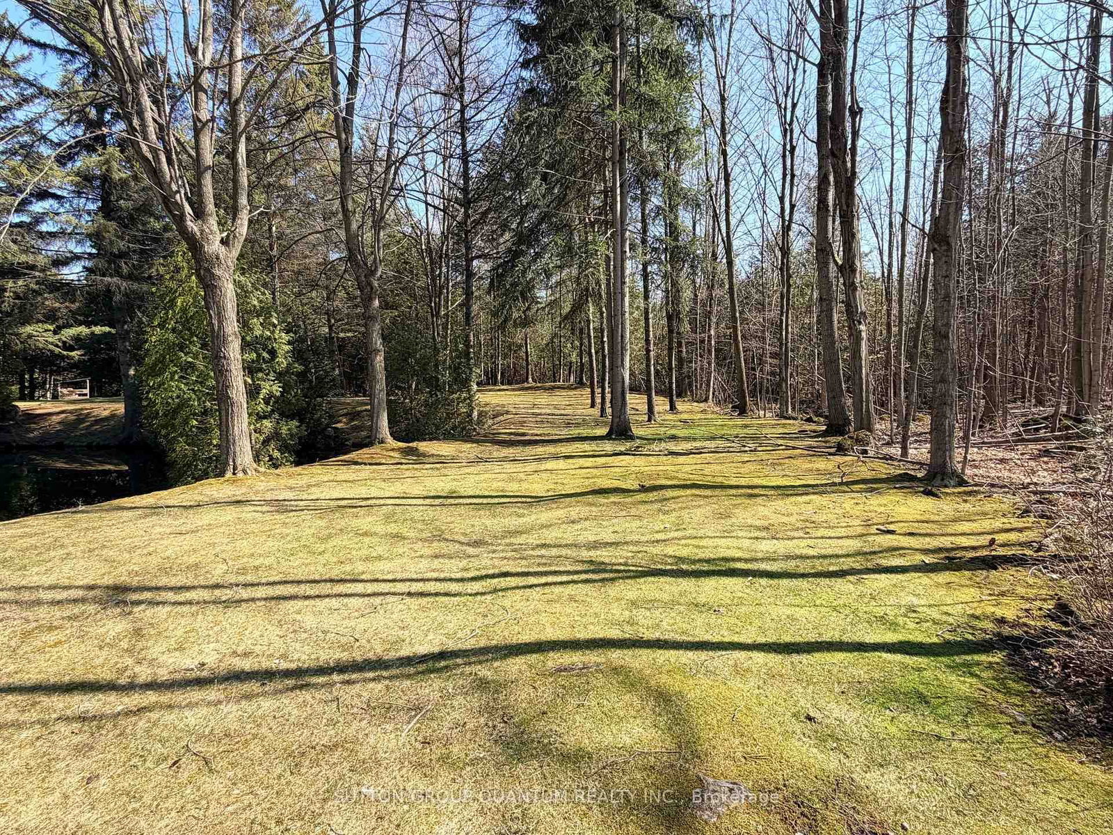 506 11th Concession Road E • Hamilton, ON photo 46
