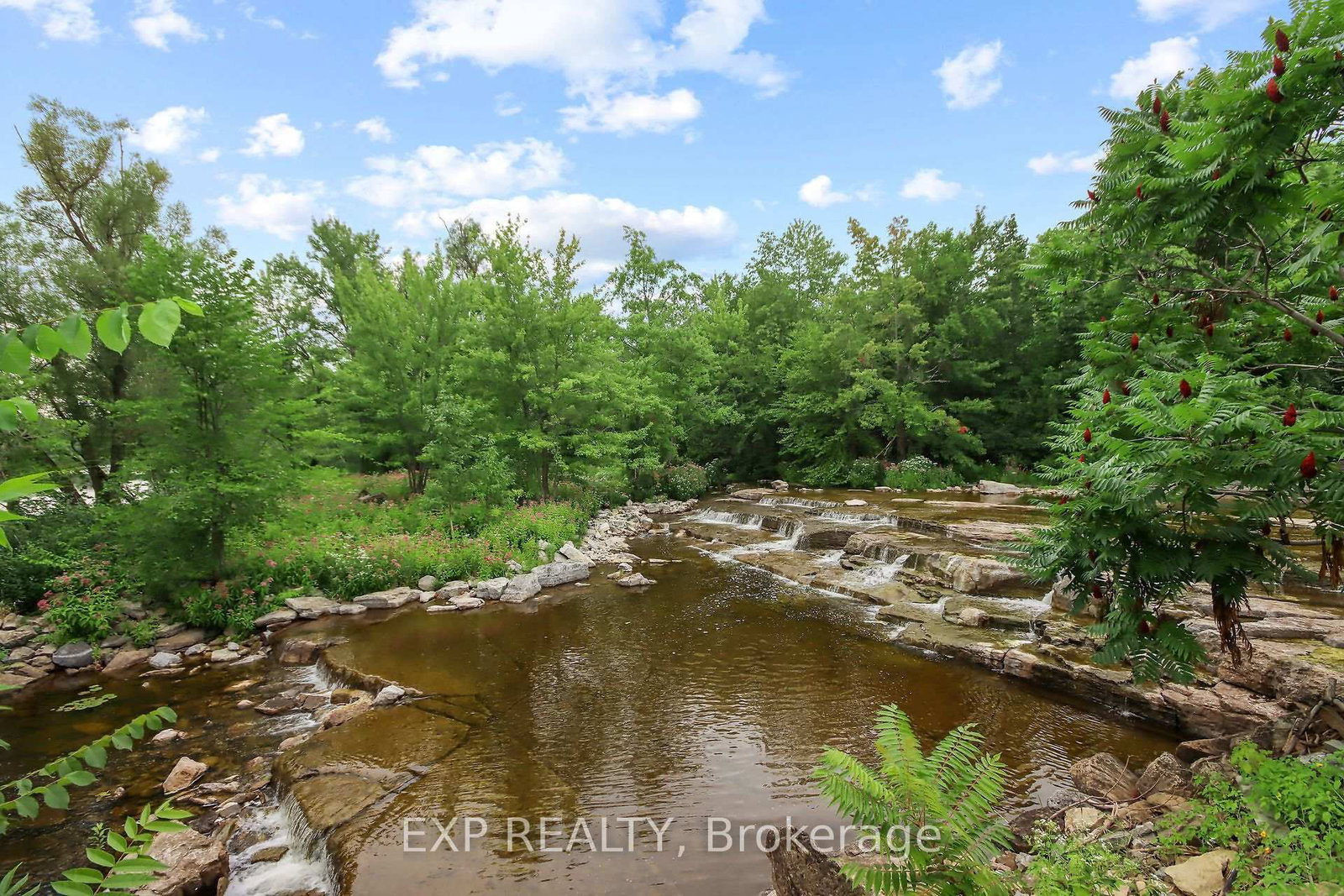 1 Rosamond Street E • #405 • Ottawa, ON photo 45