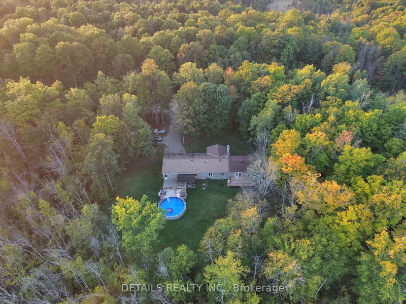 387 Campbell Side Road