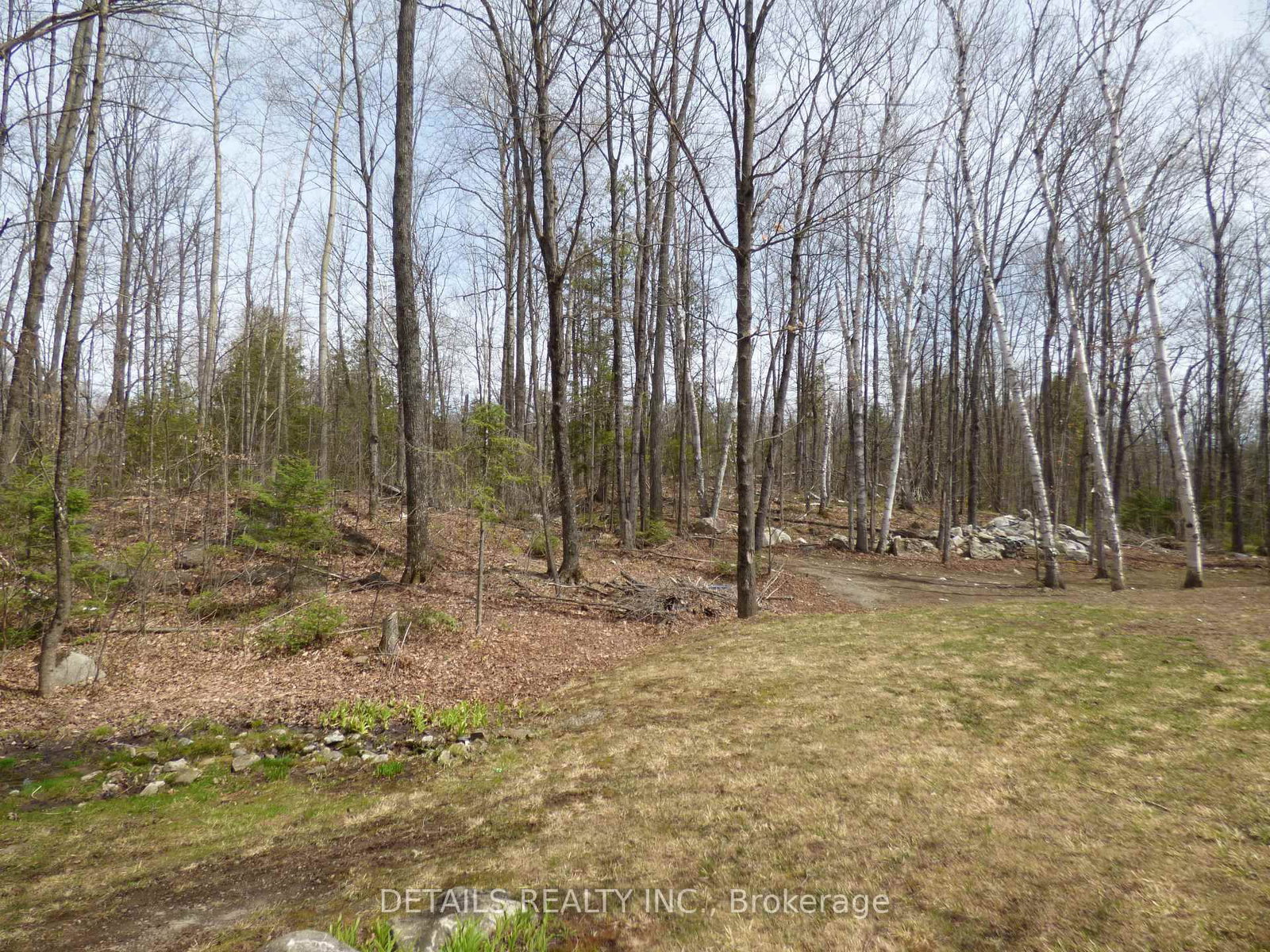 387 Campbell Side Road • White Lake, ON photo 41