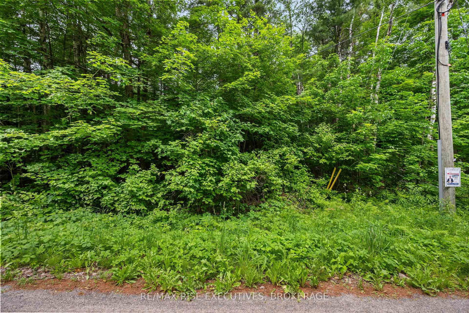 2120 Charlie Green Road • Perth Road, ON photo 21