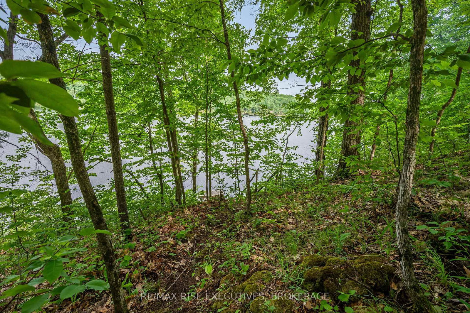 2120 Charlie Green Road • Perth Road, ON photo 34