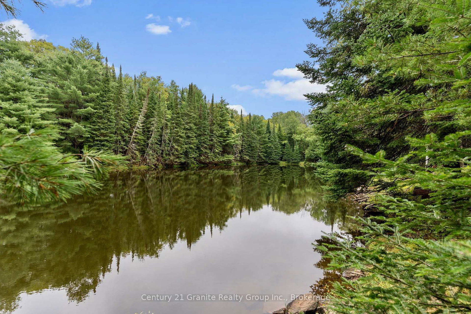 1452 Blairhampton Road • Minden Hills, ON photo 34