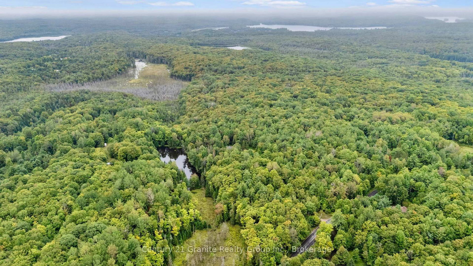 1452 Blairhampton Road • Minden Hills, ON photo 40