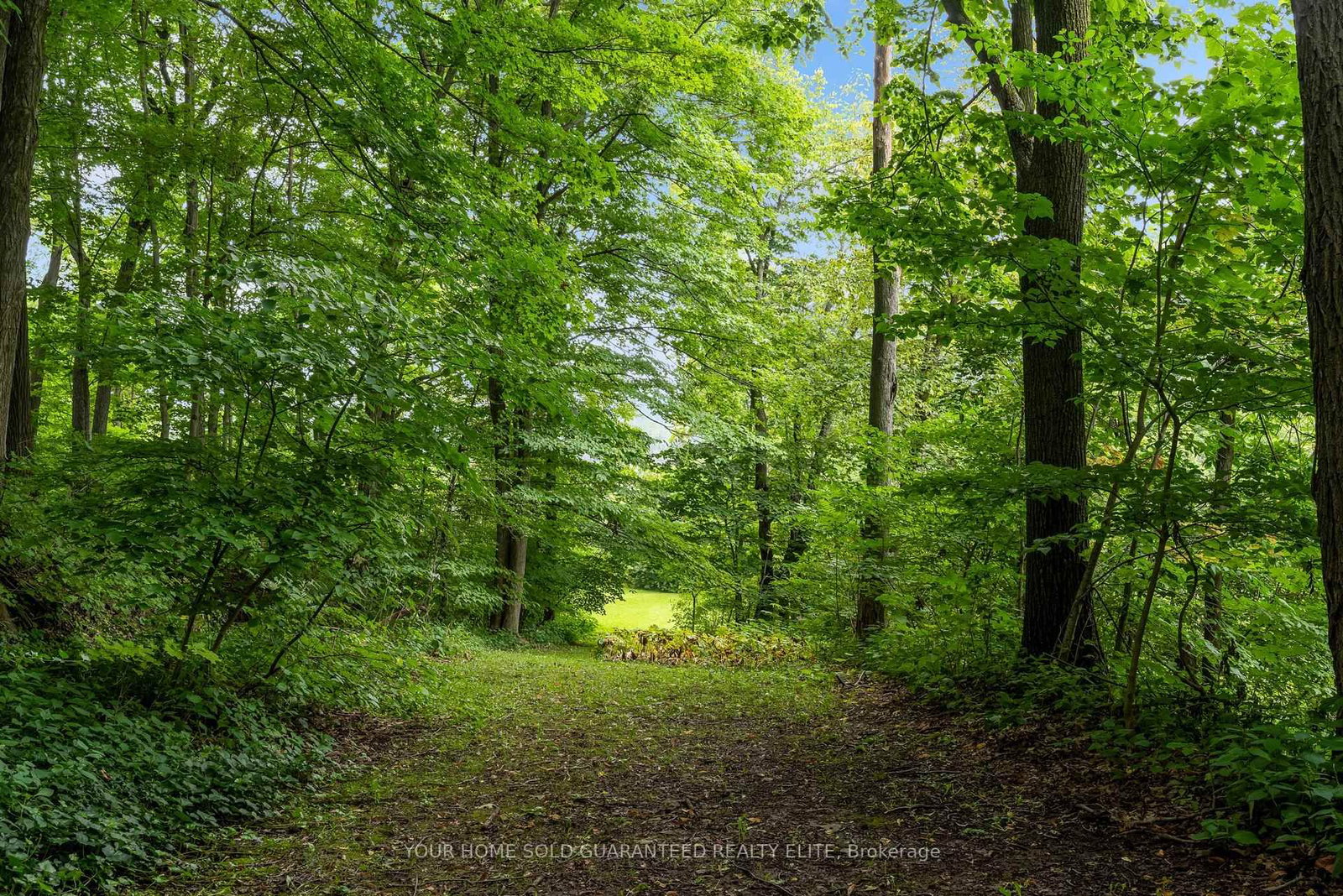 155 Ridge Road E • Grimsby, ON photo 22