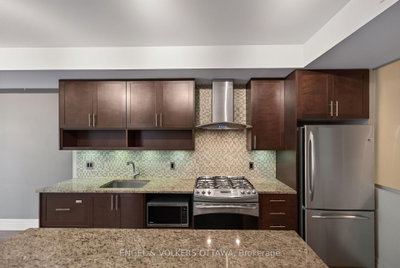 808 Bronson Avenue • #209 • Ottawa, ON photo 9