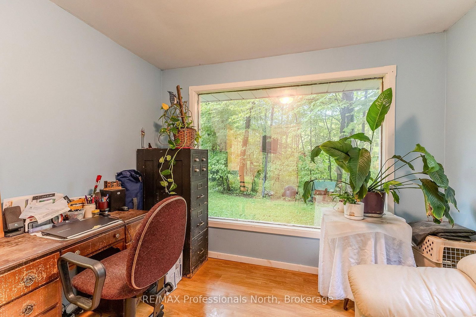 3120 Gelert Road • Minden Hills, ON photo 28