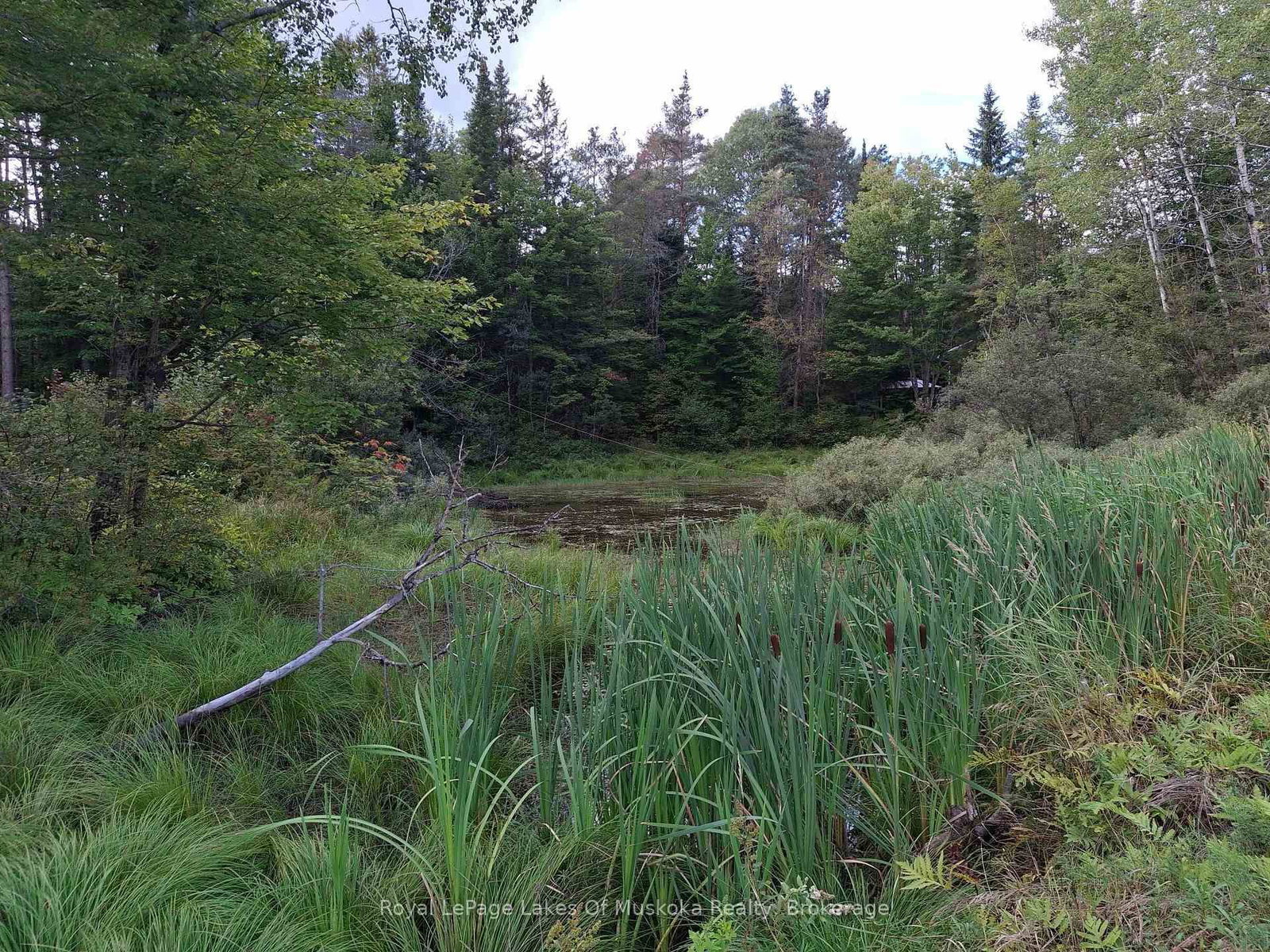 1318 Old North Road • Huntsville, ON photo 8