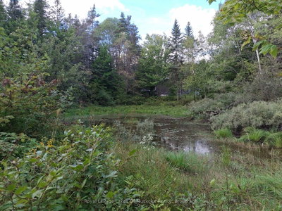 1318 Old North Road • Huntsville, ON photo 9