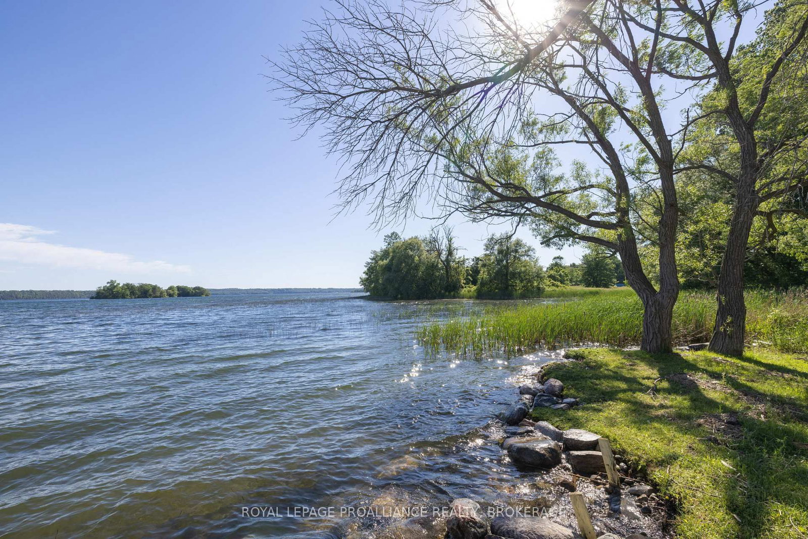 116 Schenk Street • Bath, ON photo 45