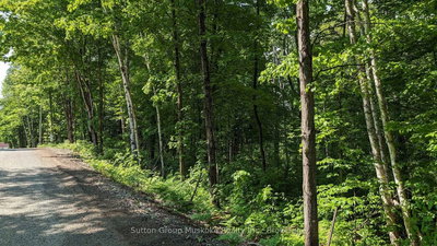 Lot 1 Tally-Ho Winter Park Road • Lake of Bays, ON photo 5