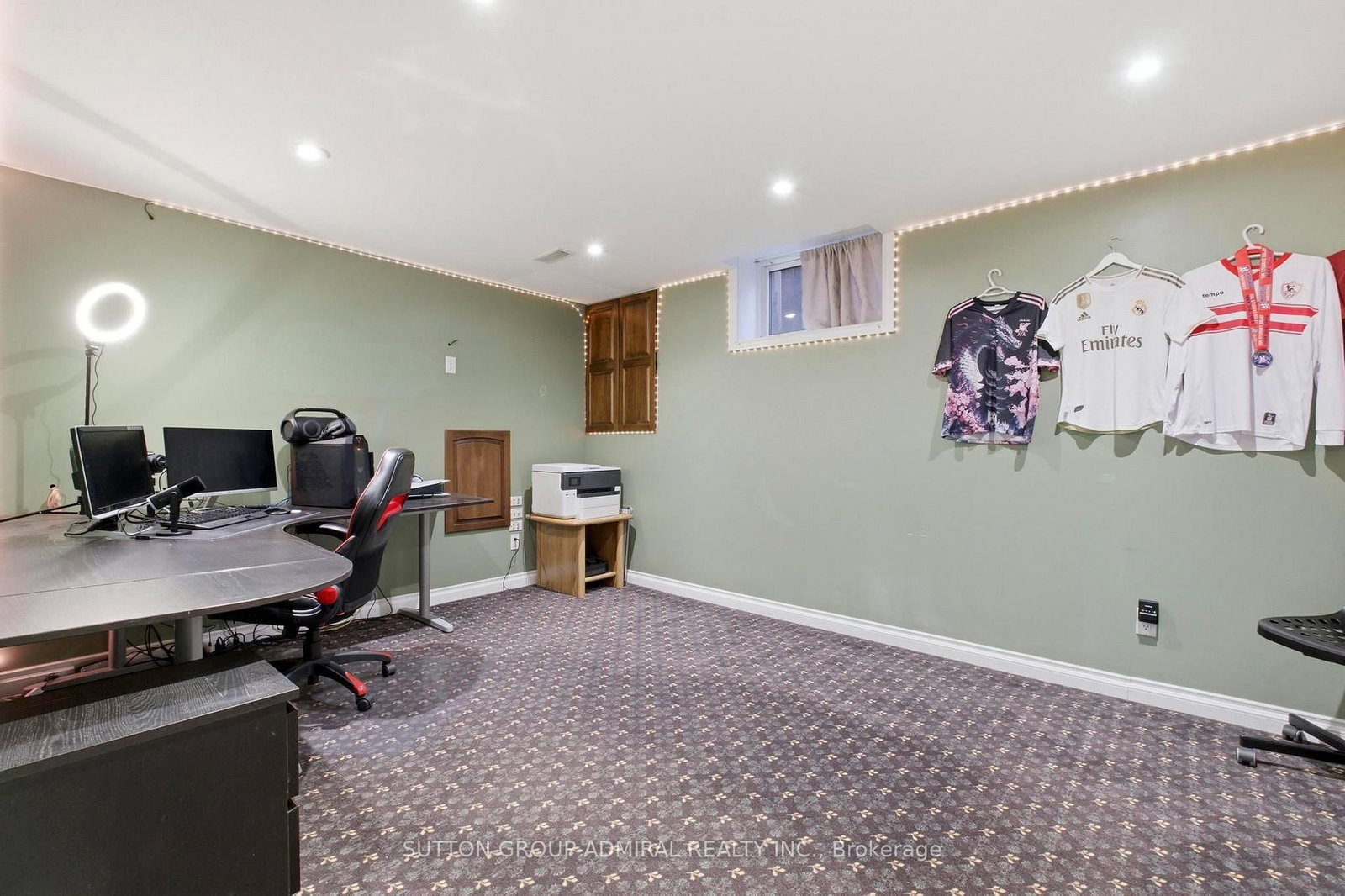 47 Sandy Drive • Hamilton, ON photo 41