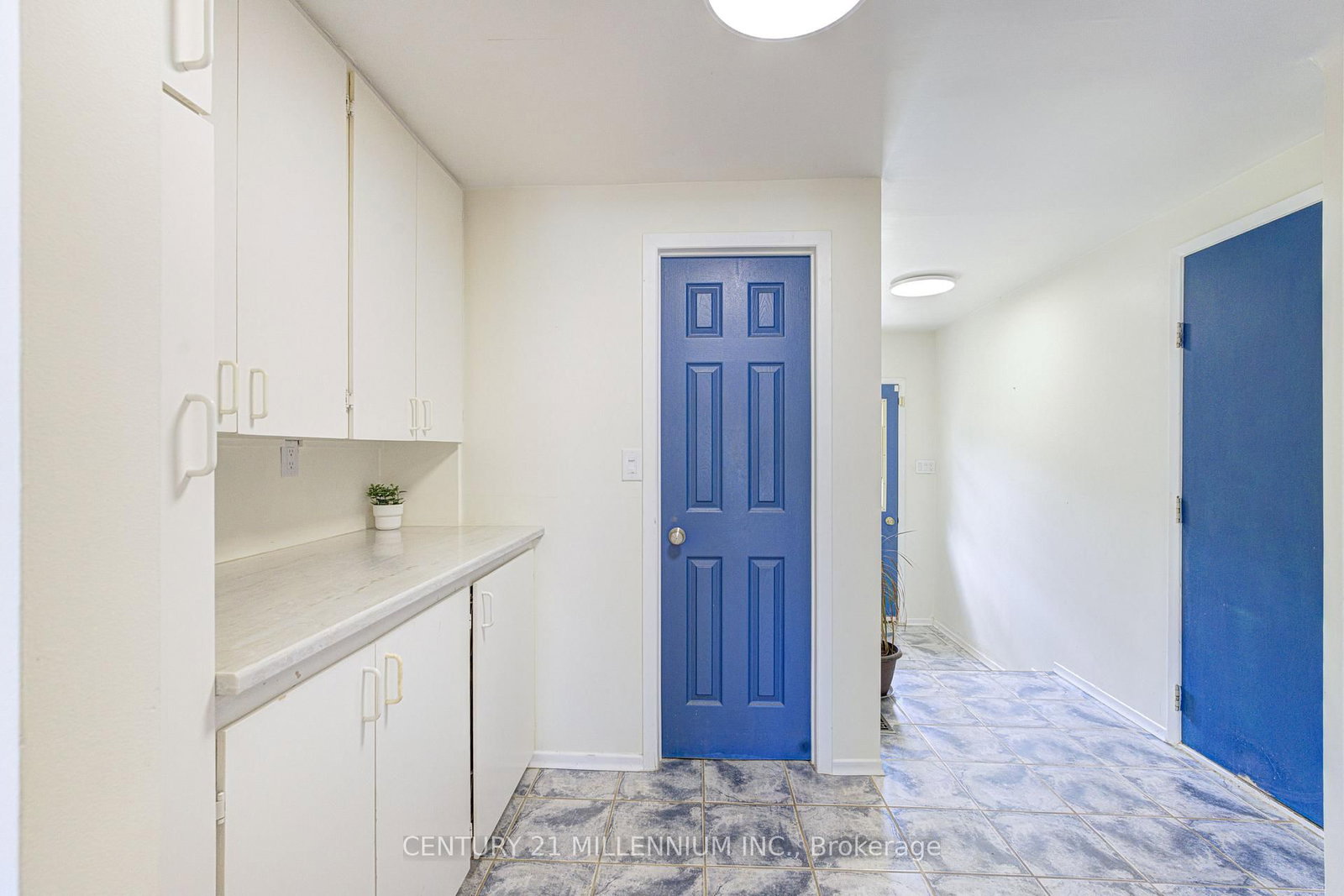 59 Lewis Crescent • Kitchener, ON photo 20