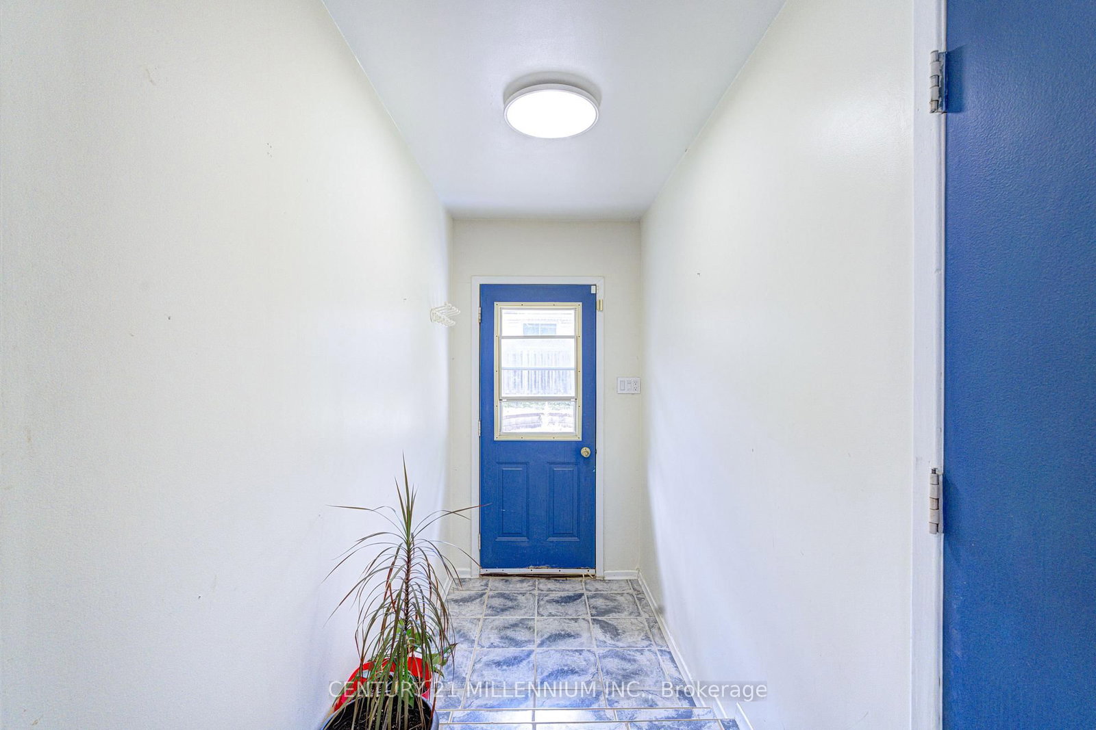 59 Lewis Crescent • Kitchener, ON photo 39