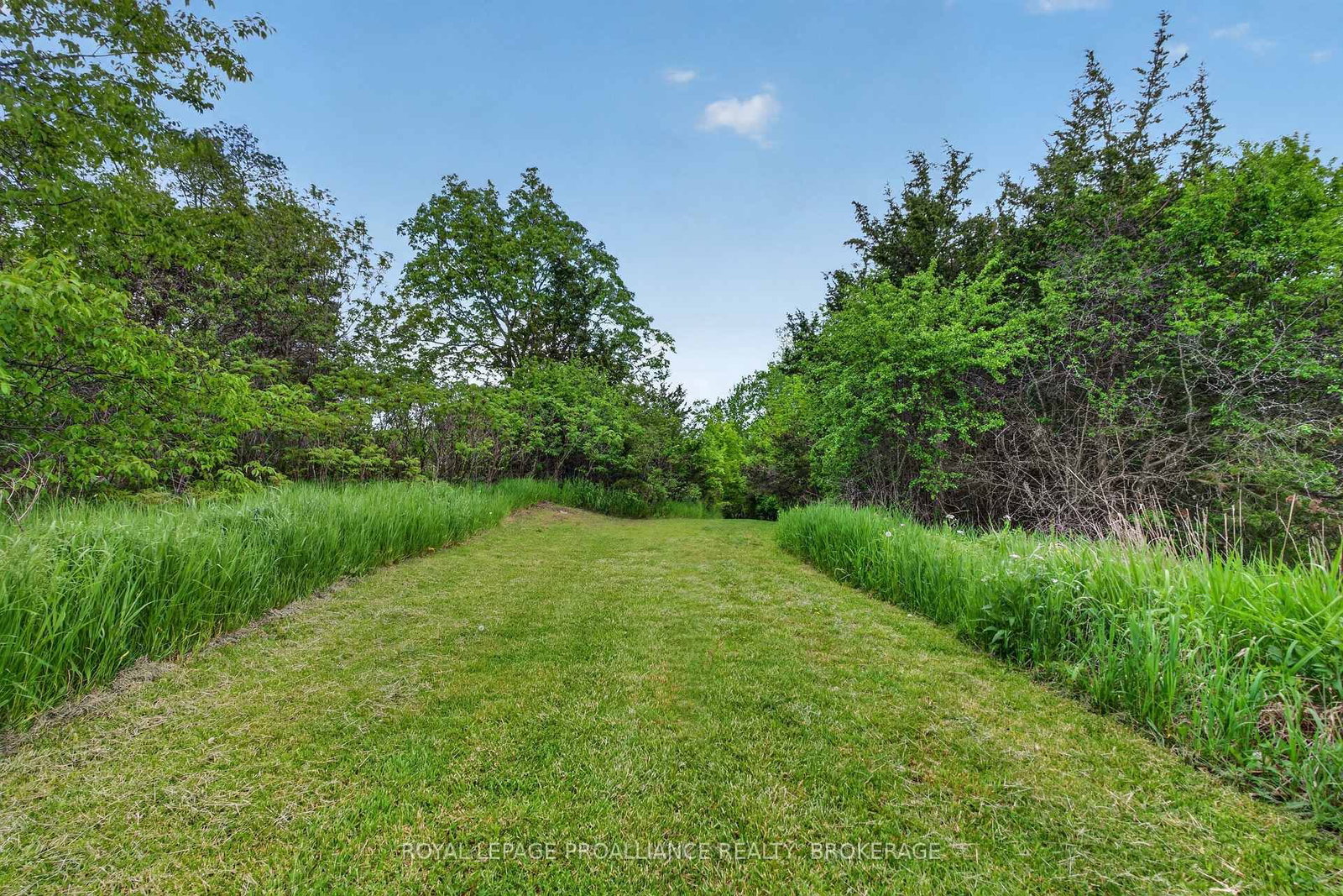 27 Collins Drive • Inverary, ON photo 44