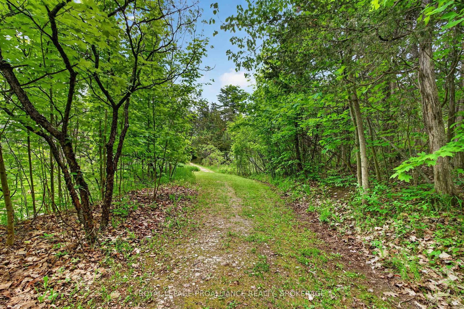 27 Collins Drive • Inverary, ON photo 45