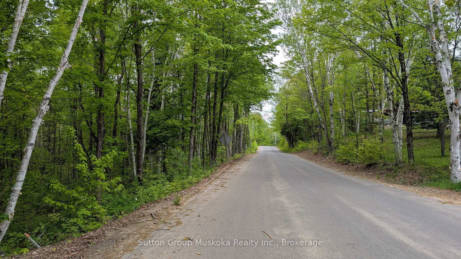 Lot 2 Tally-Ho Winter Park Road • Lake of Bays, ON photo 1