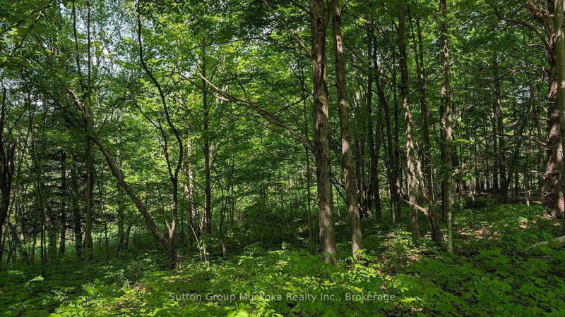 Lot 2 Tally-Ho Winter Park Road