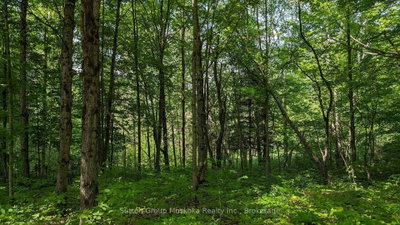 Lot 2 Tally-Ho Winter Park Road • Lake of Bays, ON photo 4