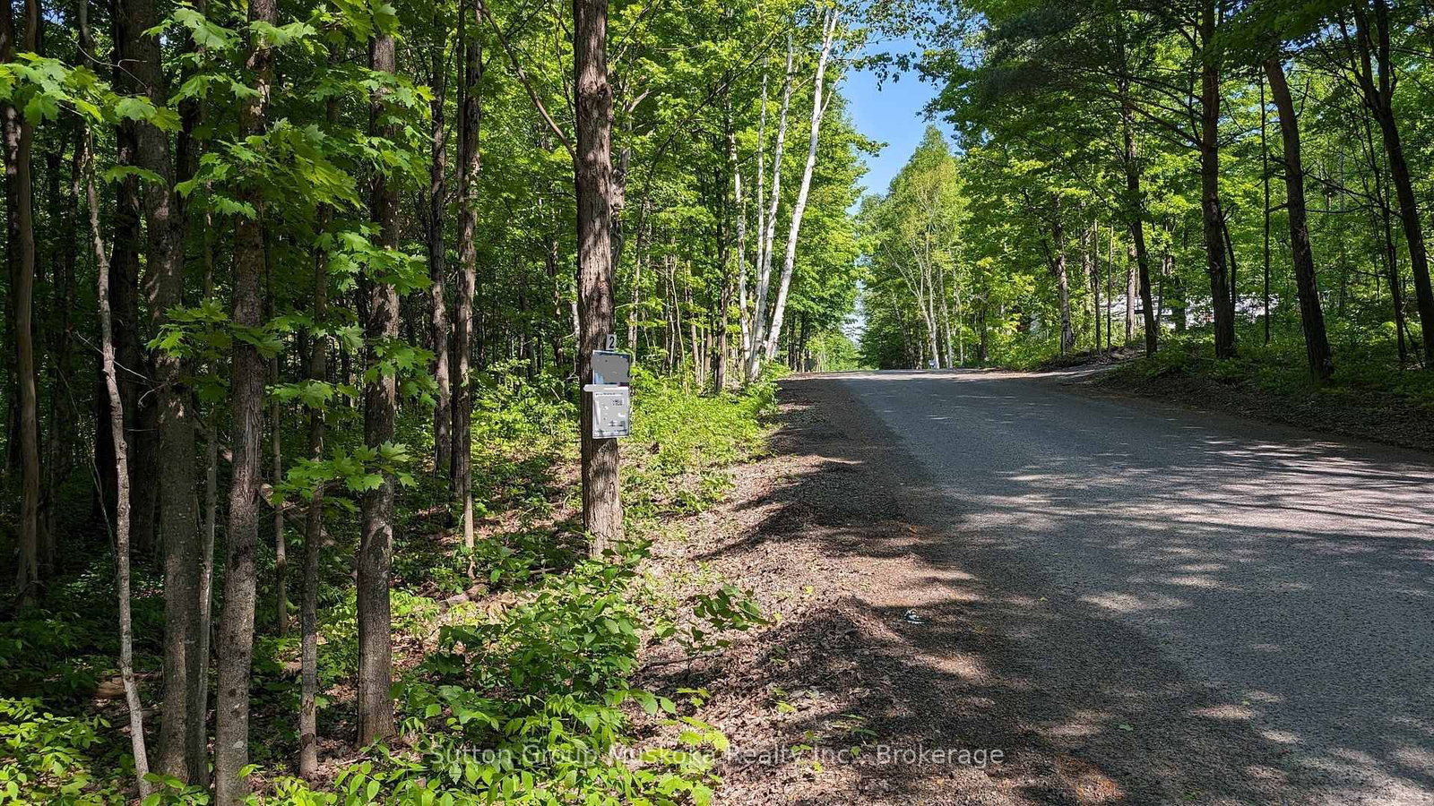 Lot 2 Tally-Ho Winter Park Road • Lake of Bays, ON photo 6