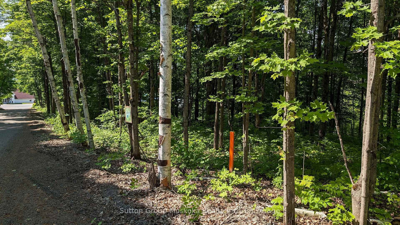 Lot 2 Tally-Ho Winter Park Road • Lake of Bays, ON photo 9