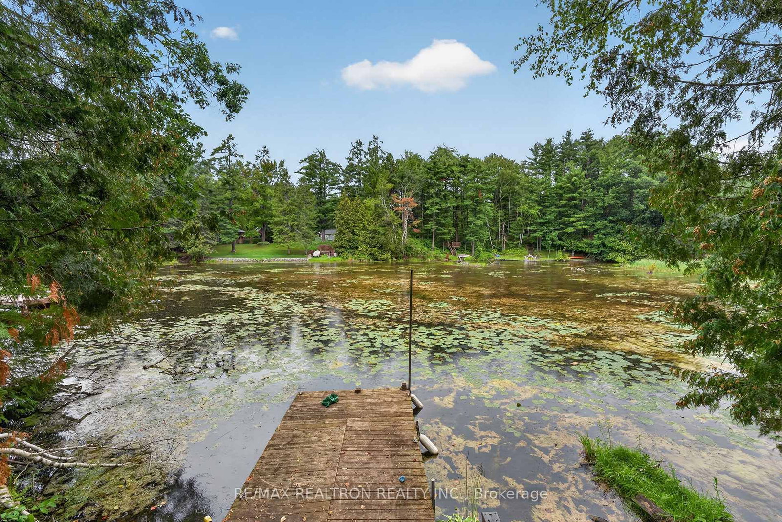 179 Stanley Road • Kawartha Lakes, ON photo 19