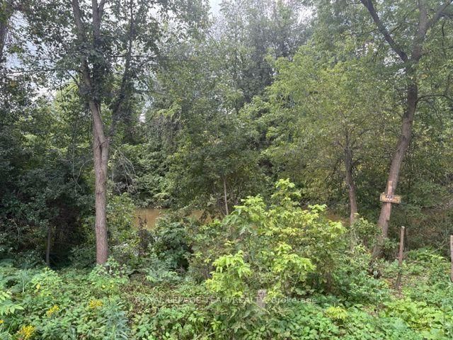 3312 Yorks Corners Road • Kenmore, ON photo 33