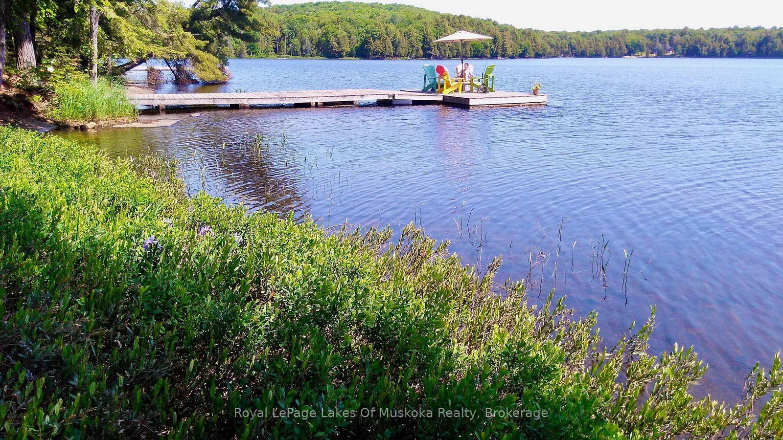 49 Wolf Trail • #16 • Perry, ON photo 47
