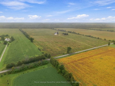 Farm for sale at 583 Hillhead Road, Kawartha Lakes, Ontario, K0L 2X0 - Ops - MLS: X13745238