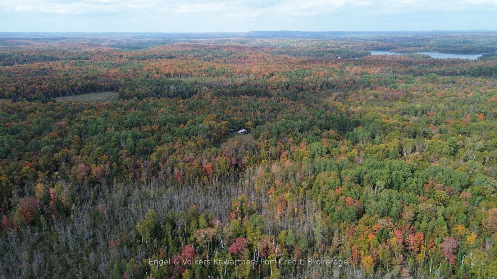 73 White Church Road • Coe Hill, ON photo 30