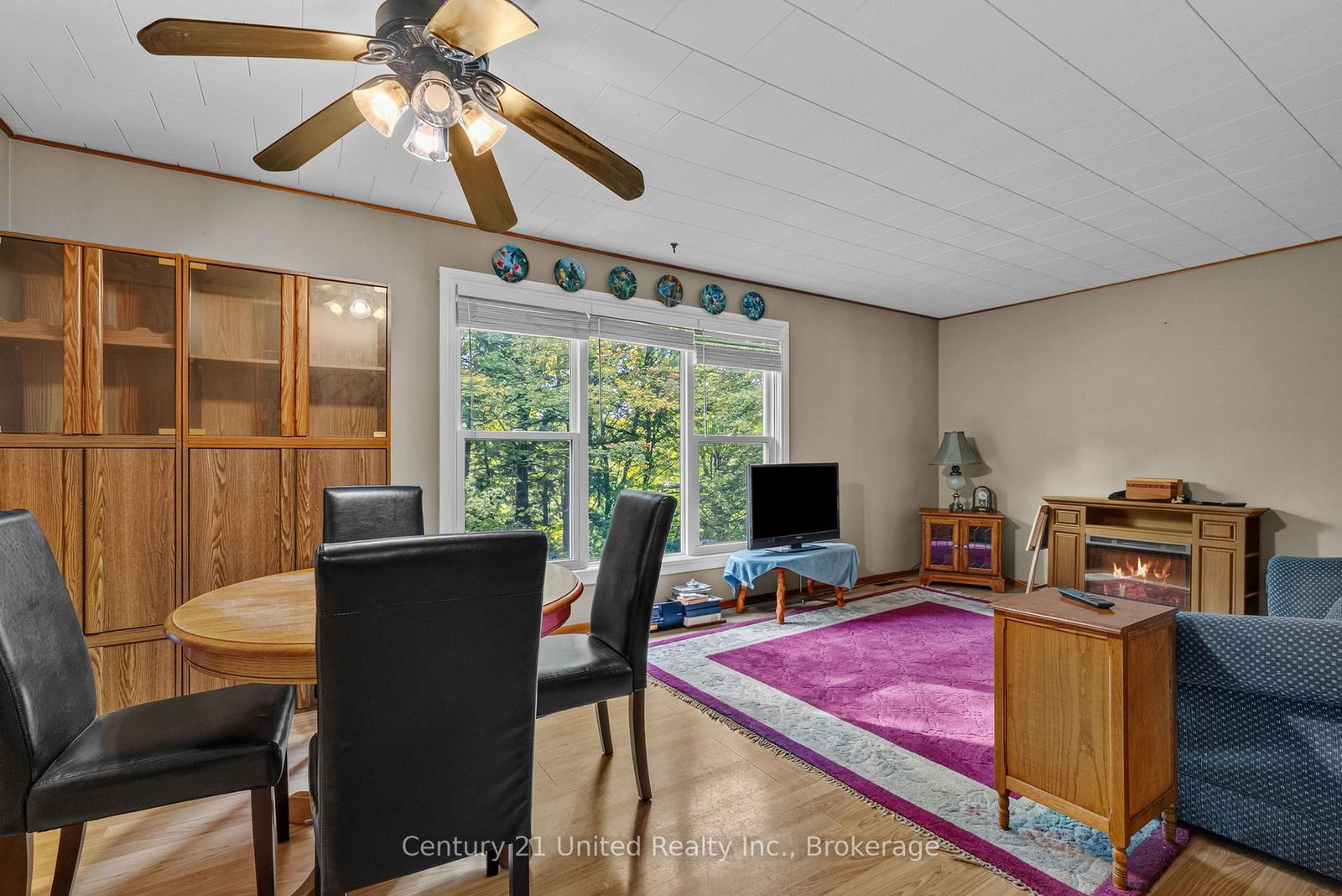 49 Mcfadden Road • North Kawartha, ON photo 12