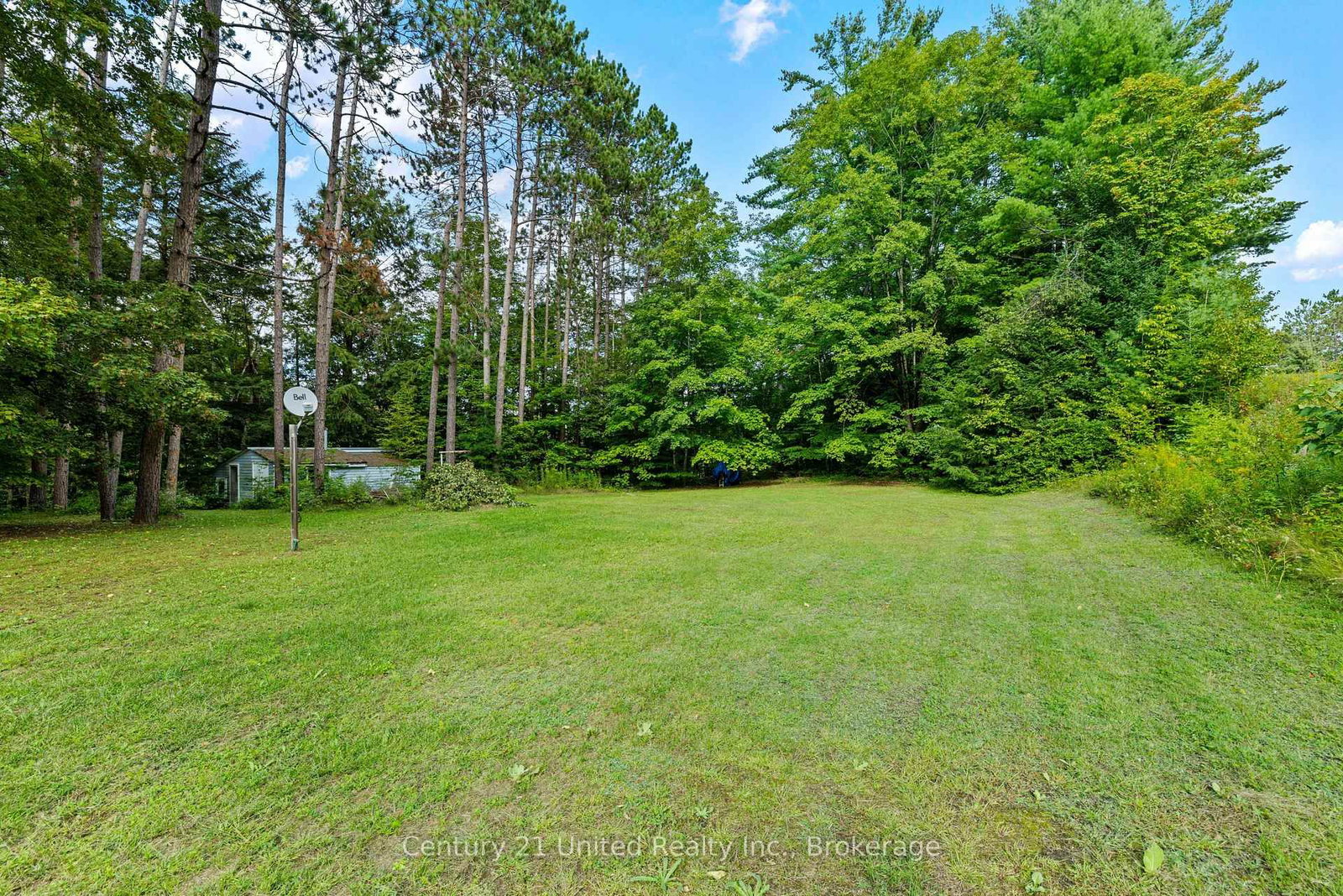 49 Mcfadden Road • North Kawartha, ON photo 29