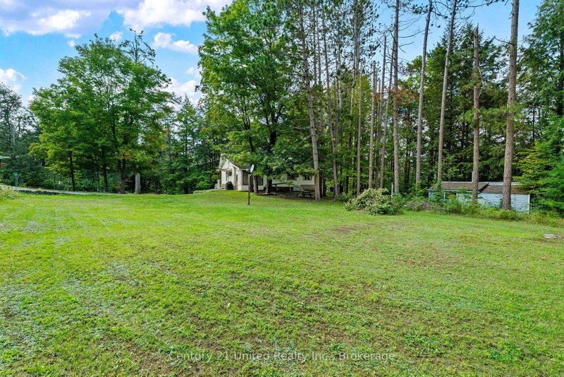 49 Mcfadden Road