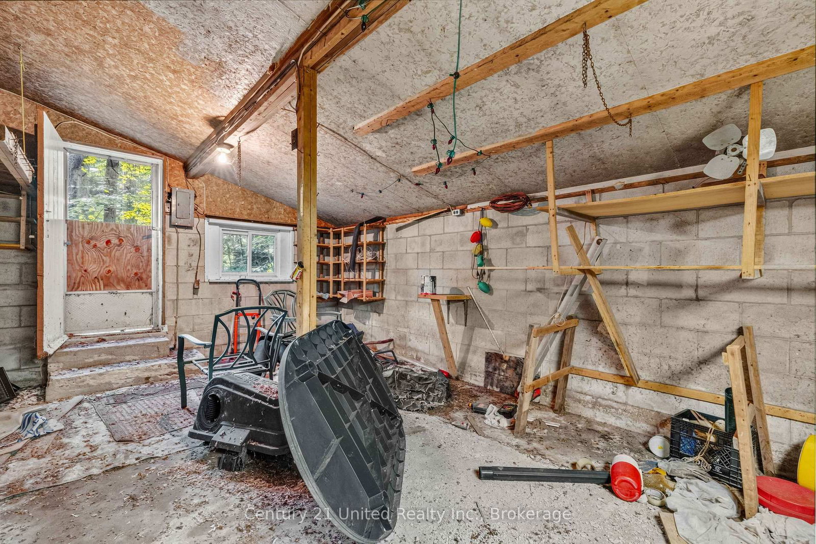 49 Mcfadden Road • North Kawartha, ON photo 31