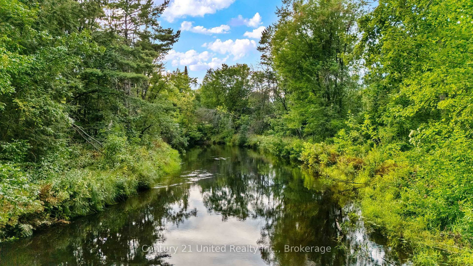 49 Mcfadden Road • North Kawartha, ON photo 34