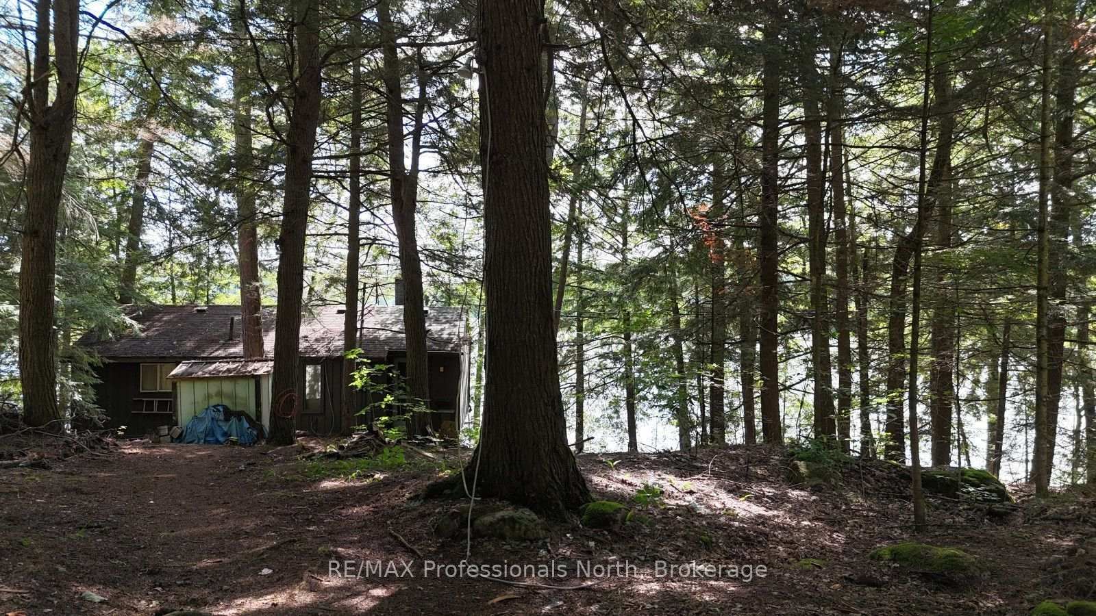 1019 Arrowhead Drive • Highlands East, ON photo 20