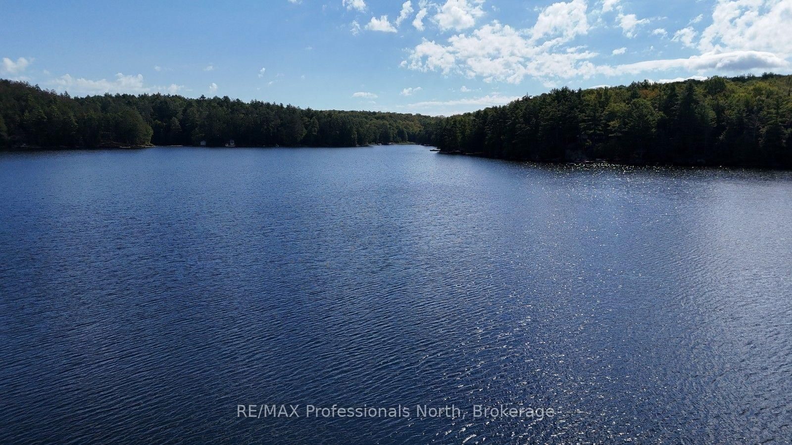 1019 Arrowhead Drive • Highlands East, ON photo 5