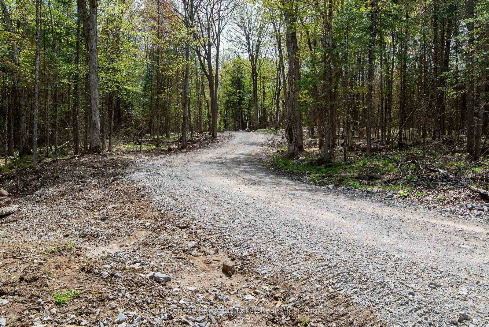 1851 Contau Lake Road • Highlands East, ON photo 41
