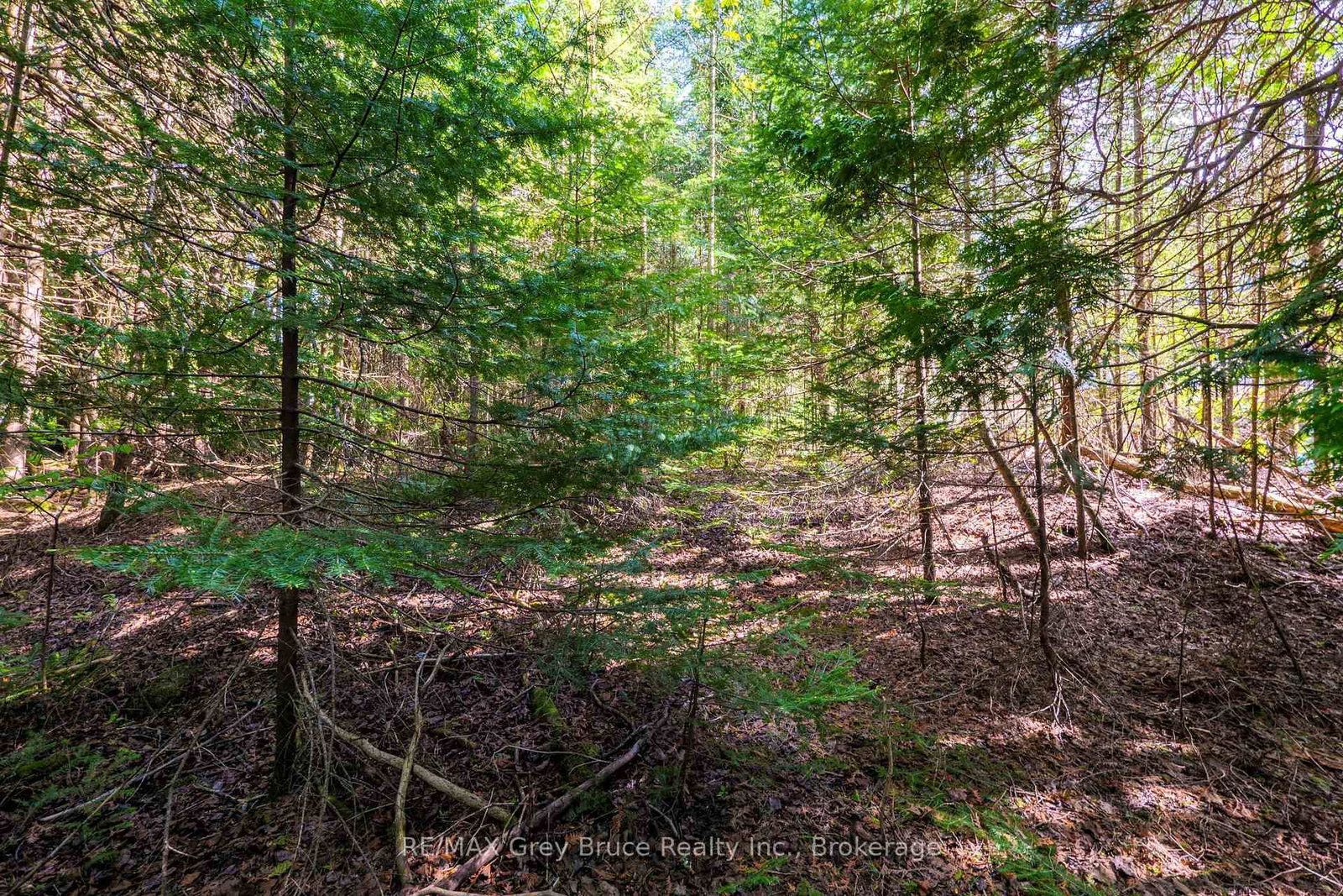 Unit 6 Stokes Bay Road • Northern Bruce Peninsula, ON photo 19