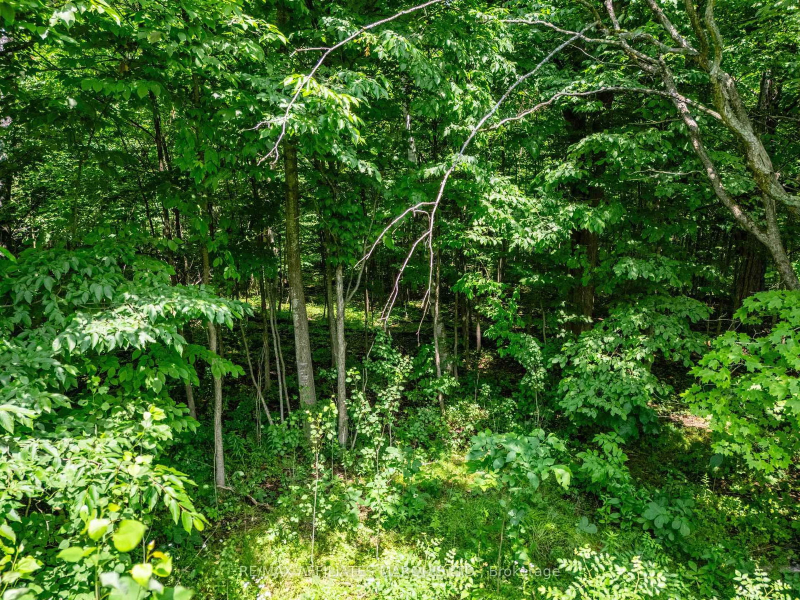 LOT Beaver Brook Road • South Glengarry, ON photo 3