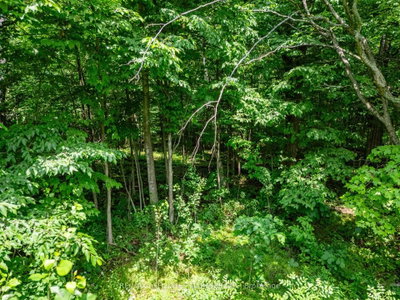 LOT Beaver Brook Road • South Glengarry, ON photo 3