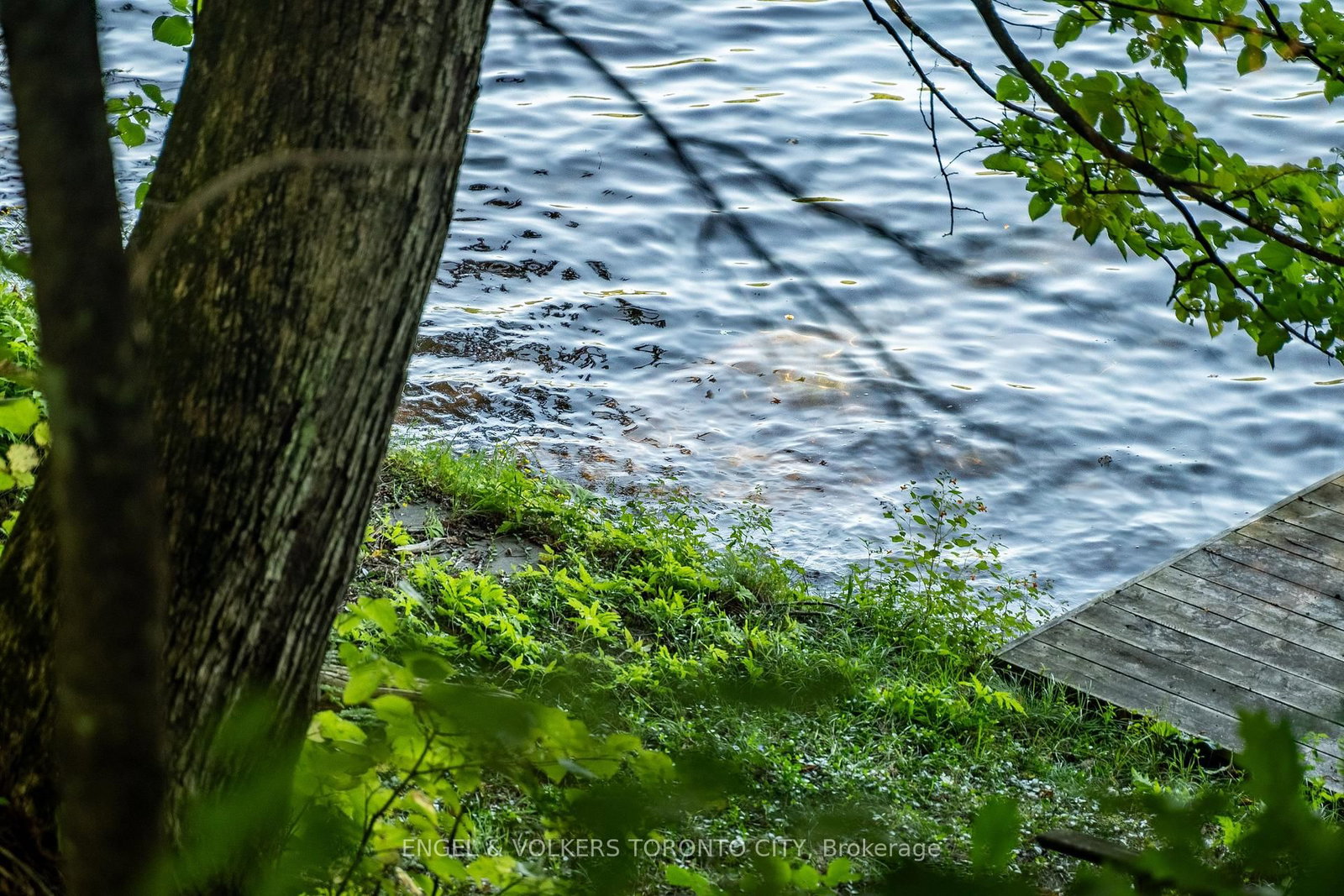 1032 Cliffdene Drive • Lake of Bays, ON photo 38