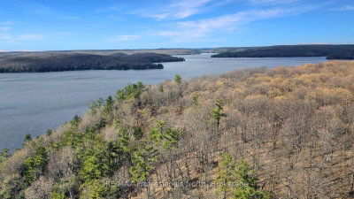 Lot 4 Gonnsen Trail • Dysart et al, ON photo 6
