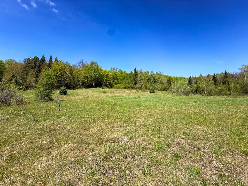 690 Hurdville Road • McKellar, ON photo 26