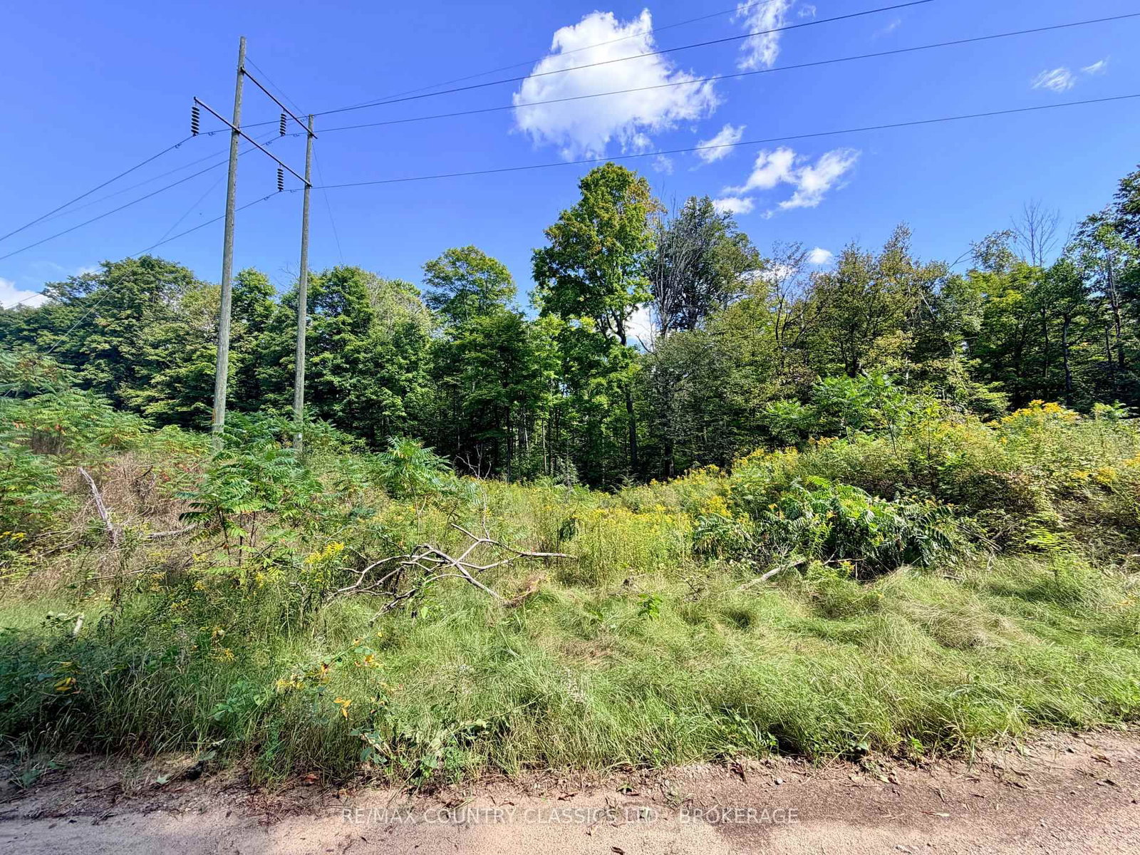 S 1/2 LOT 2-4 C Hydro Lane • Plevna, ON photo 4