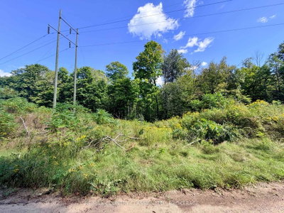 S 1/2 LOT 2-4 C Hydro Lane • Plevna, ON photo 4