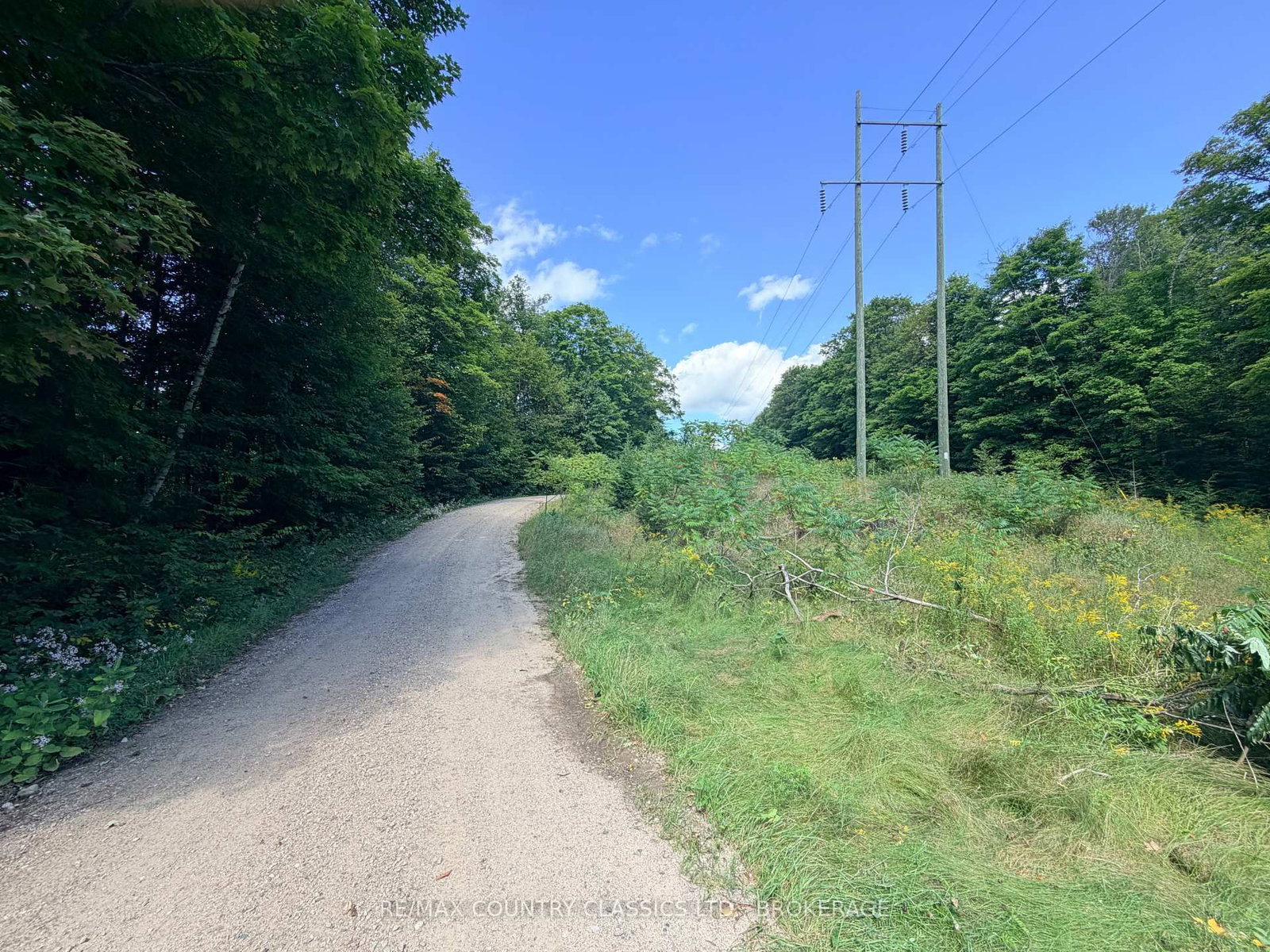 S 1/2 LOT 2-4 C Hydro Lane • Plevna, ON photo 5