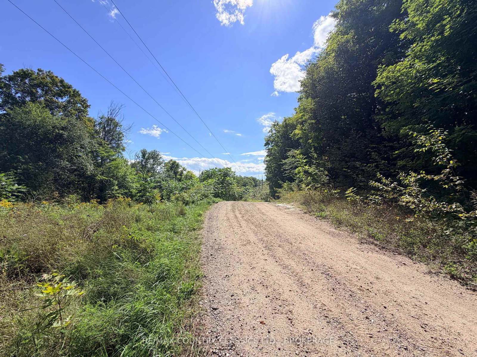 S 1/2 LOT 2-4 C Hydro Lane • Plevna, ON photo 6