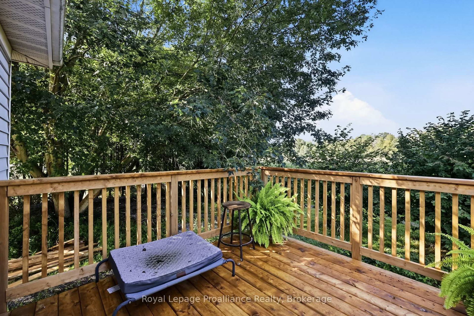 464 Brimley Road S • Alnwick/Haldimand, ON photo 38
