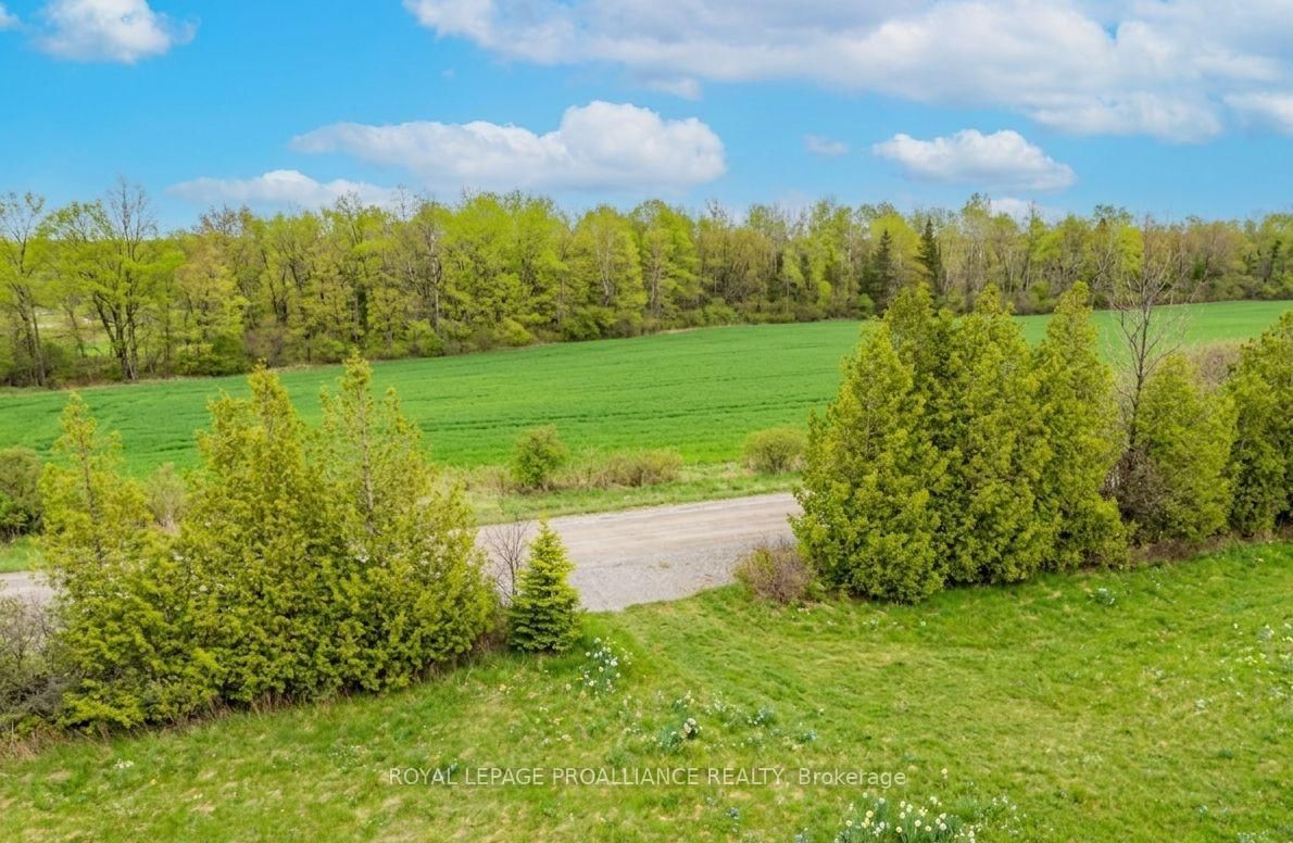 00 Knapp Drive • Augusta, ON photo 4